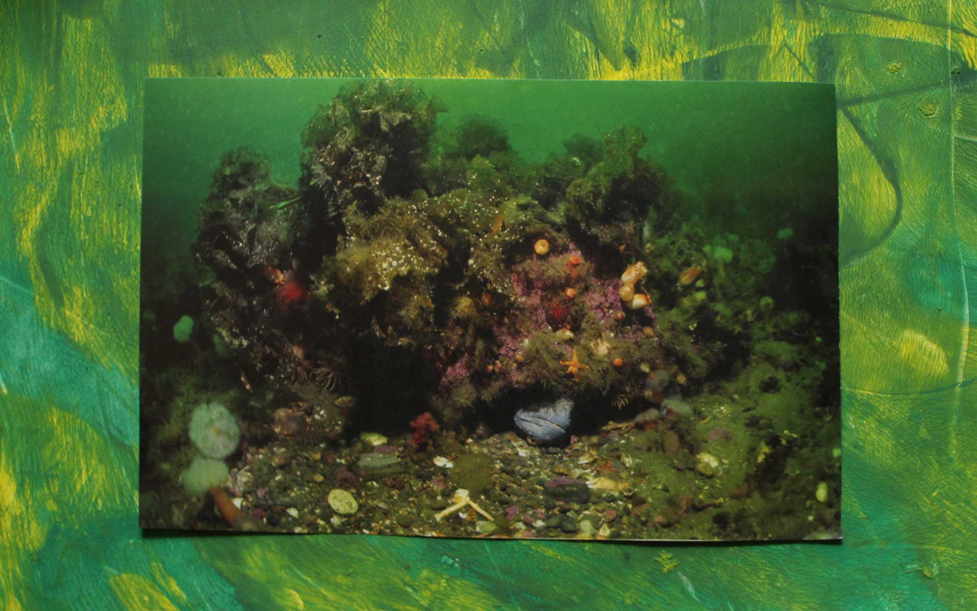 Véro—vert-mer-Web
